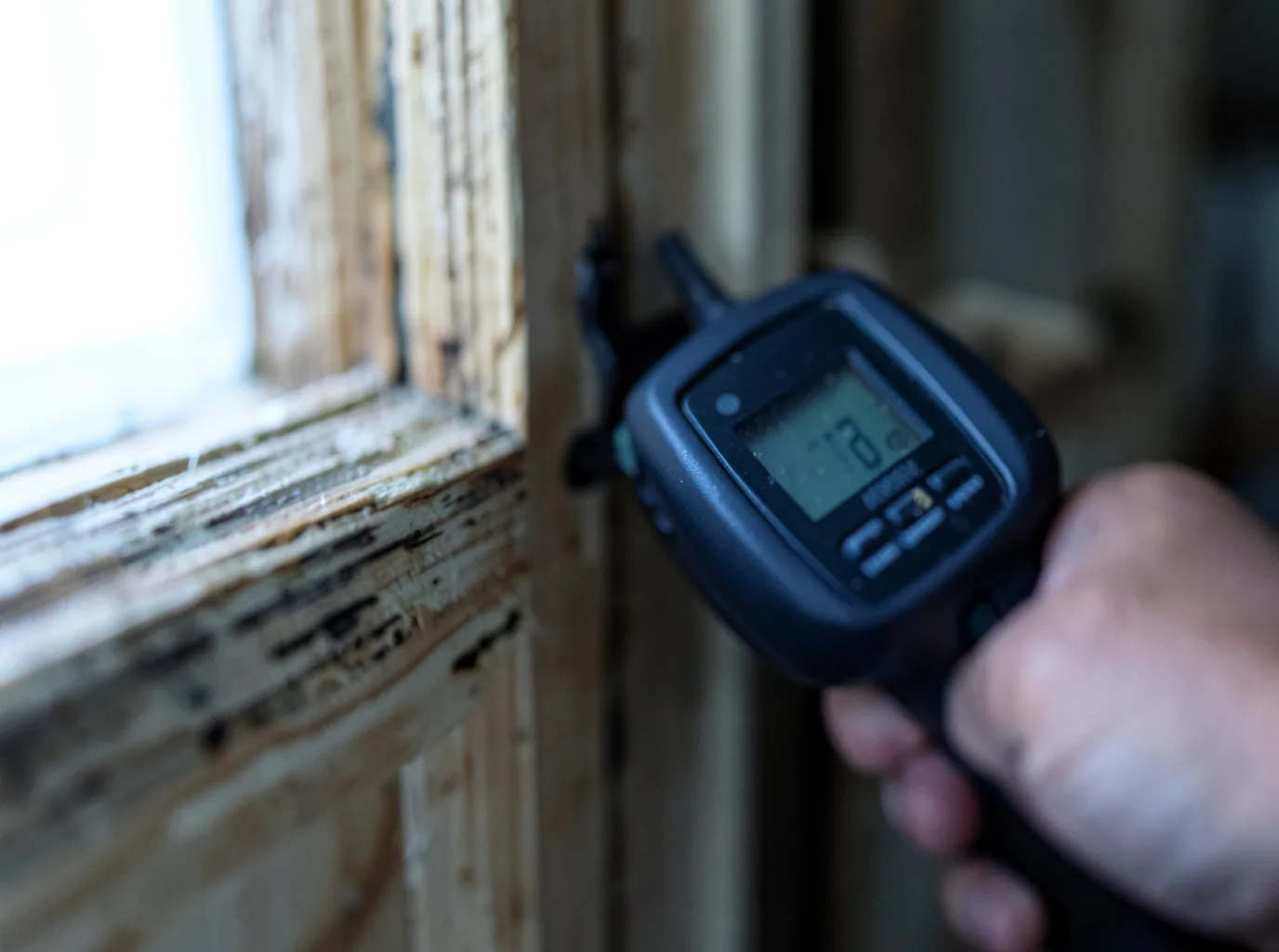 Commercial Water Damage Restoration in Rhododendron, OR